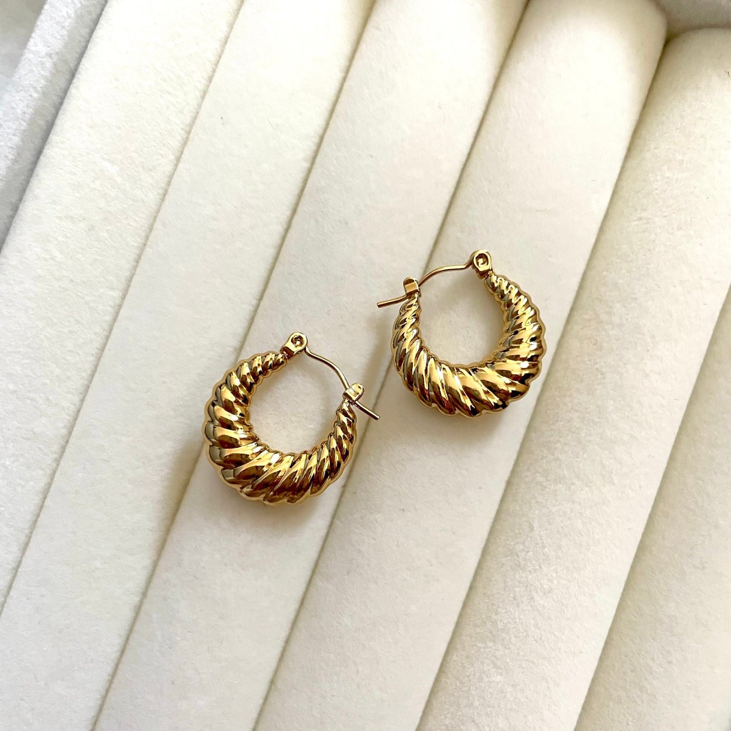 Polly Twist Hoops Earrings