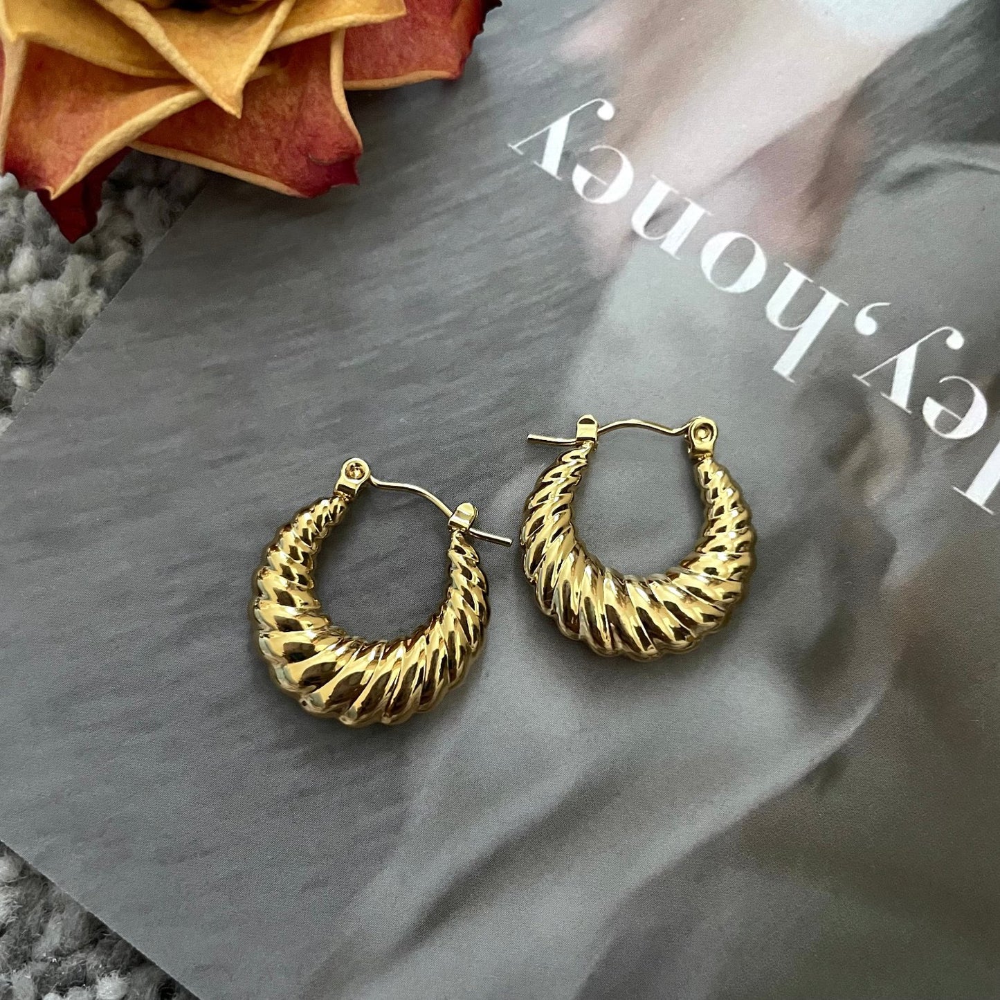 Polly Twist Hoops Earrings